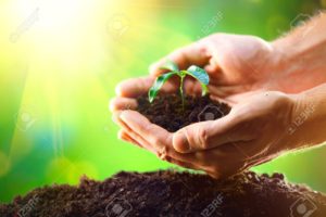 ambiental