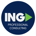ING PROFESSIONAL CONSULTING SAS
