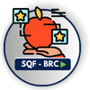 SQF - BRC