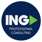 ING PROFESSIONAL CONSULTING SAS